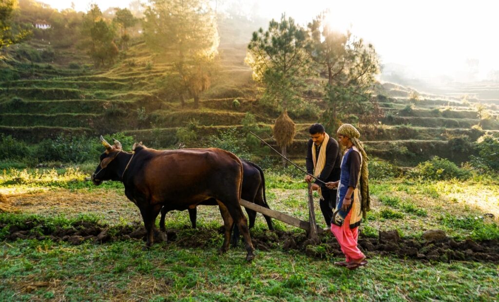 Pradhan Mantri Fasal Bima Yojana
