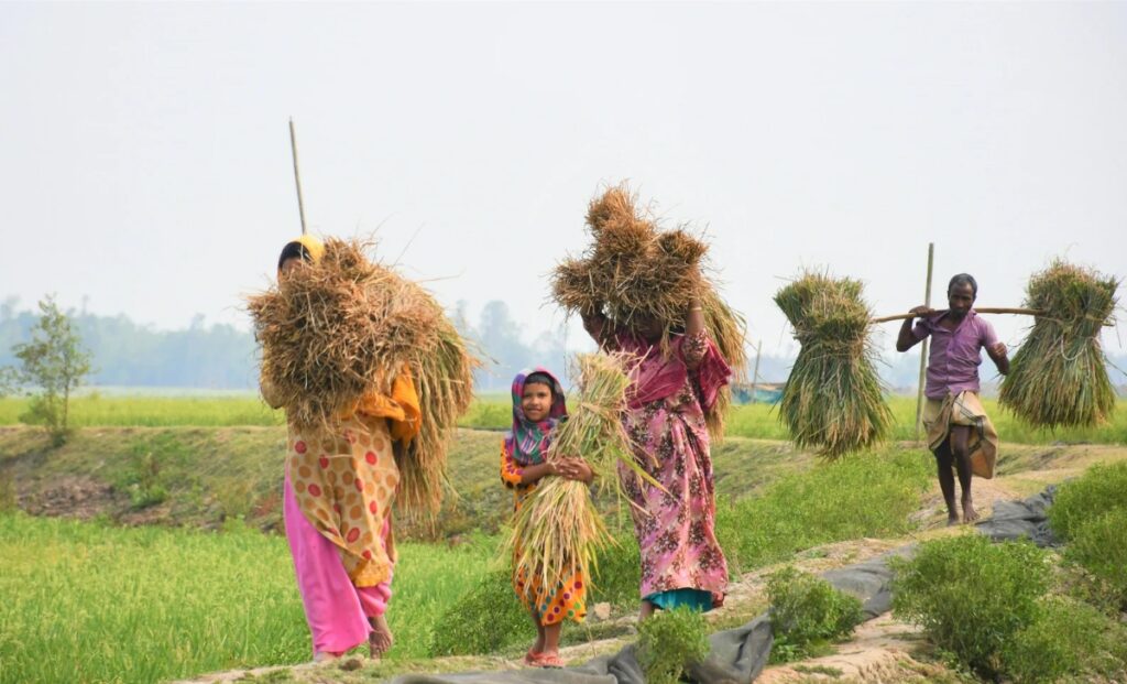 Pradhan Mantri Fasal Bima Yojana